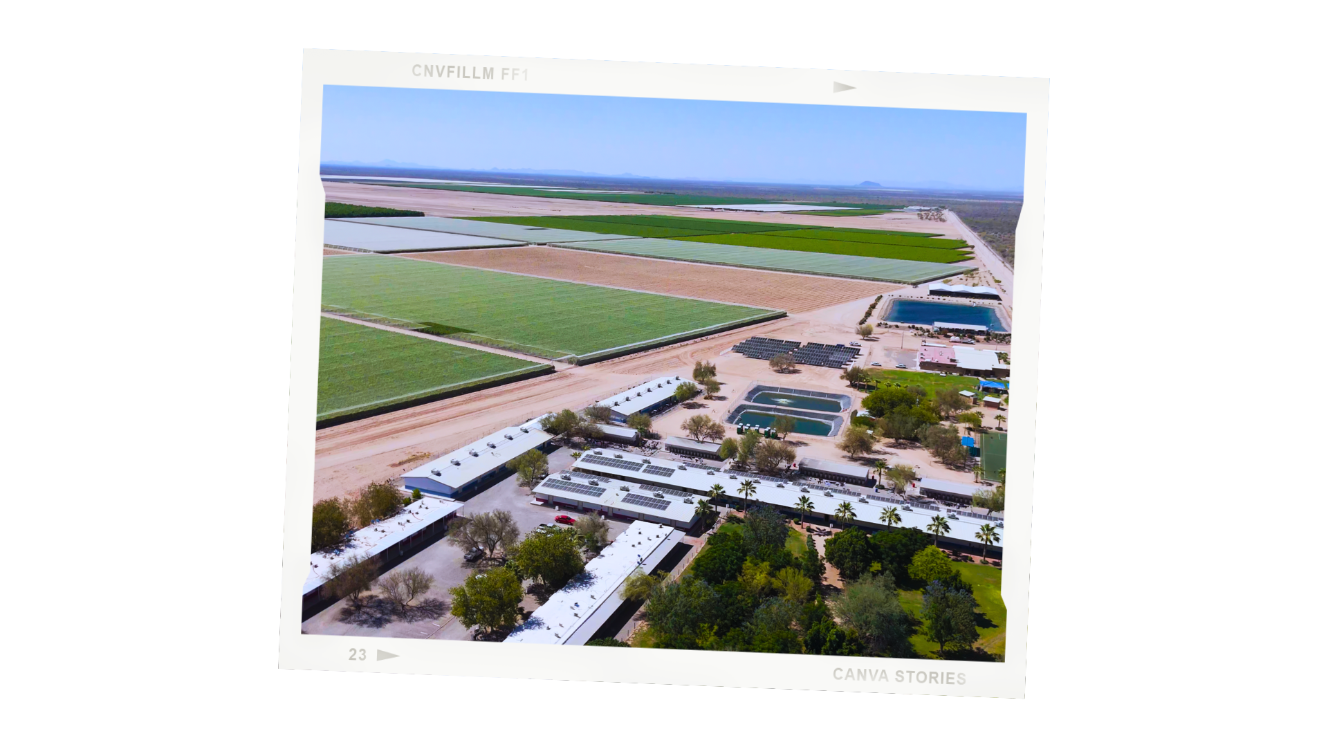 campo don enrique 2 grupo alta